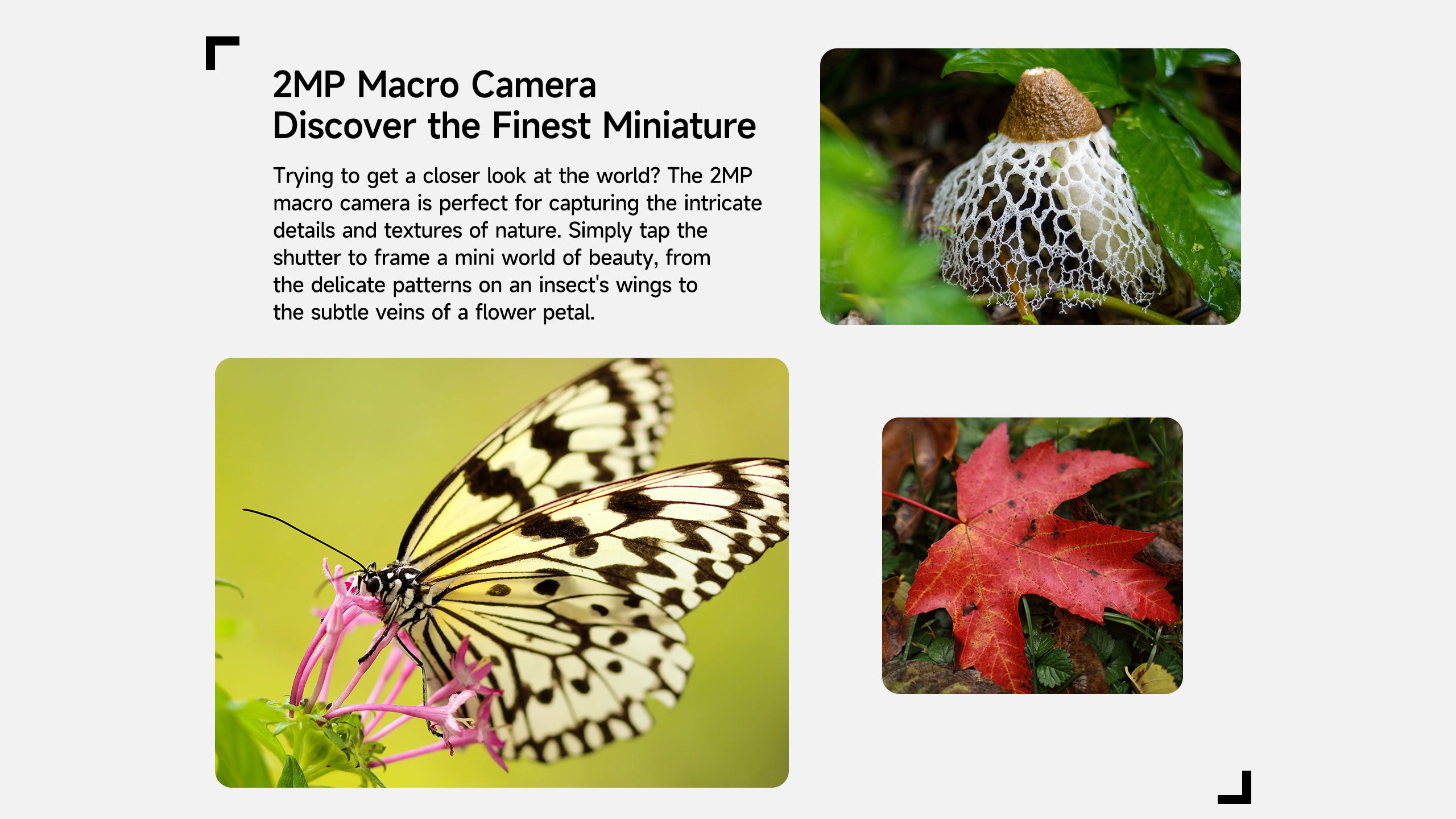 RugKing 3 Pro feature 23